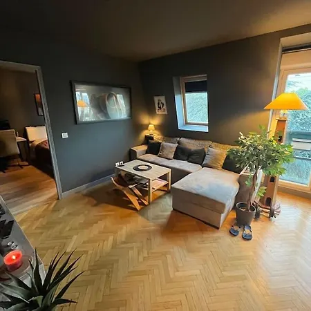 Apartment Cosy Le Chesnay Le Chesnay (Yvelines)